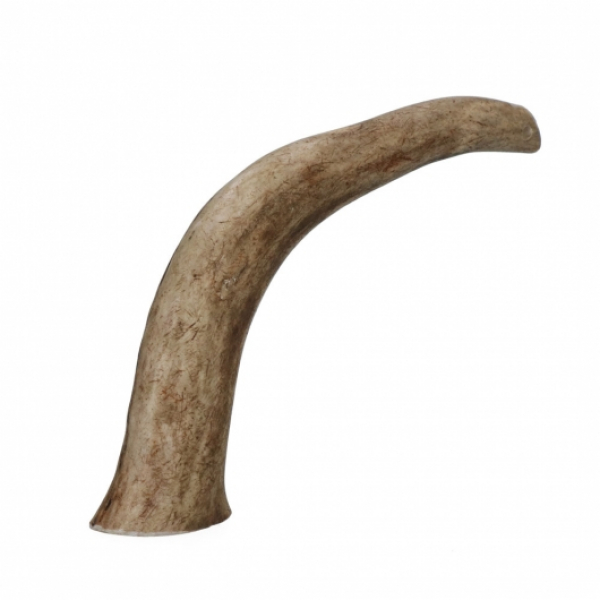 Viking Antler Hard Rothirschgeweih M